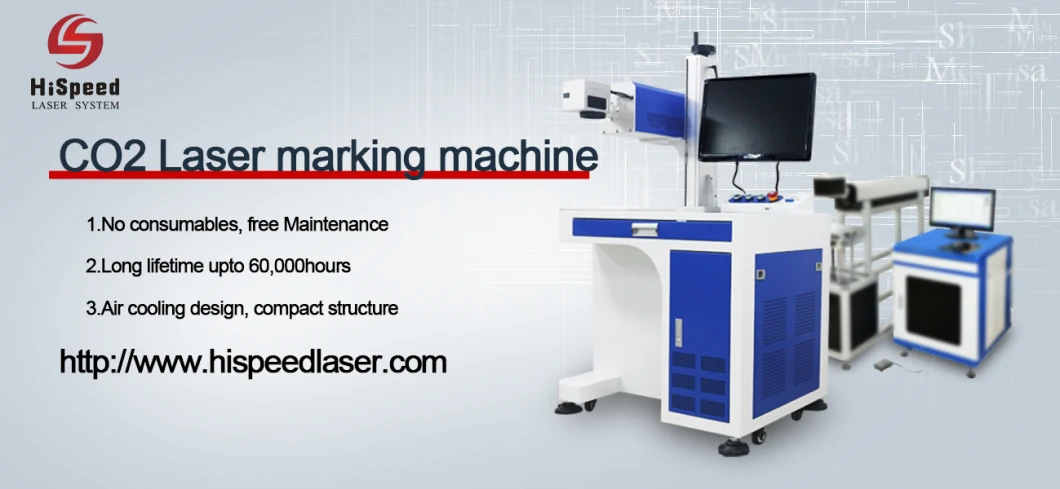 CO2 Laser Marking Machine Line Food Date Printer Flight Laser Printer