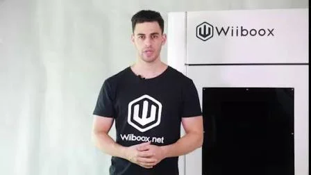 Wiiboox 신속한 프로토타이핑 산업용 등급 3D SLA 프린터